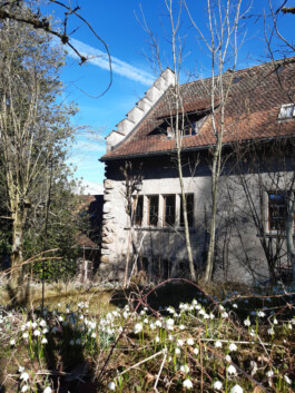 Dällikon is Future DiF