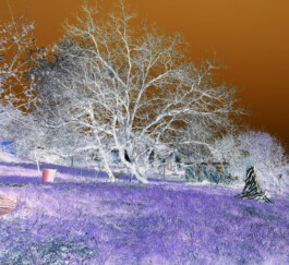 Dällikon is Future DiF