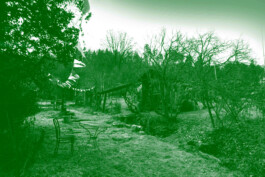  Dällikon is Future DiF