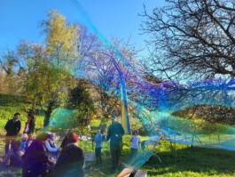  Dällikon is Future DiF