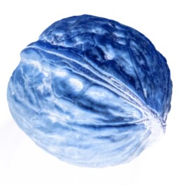  Dällikon is Future DiF