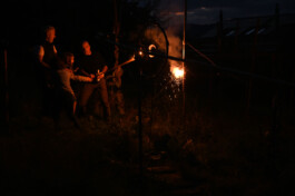  Dällikon is Future DiF