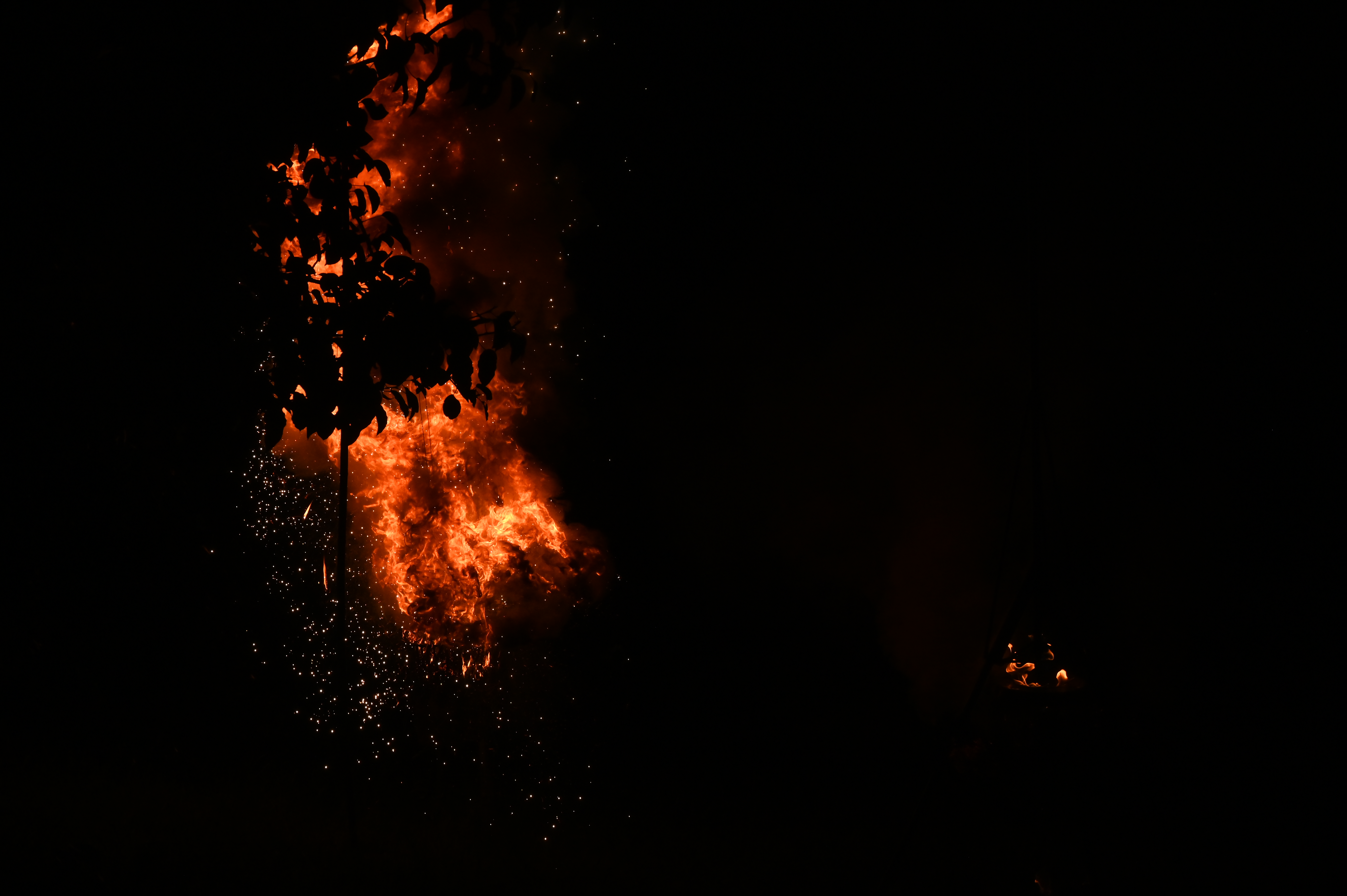  Dällikon is Future DiF