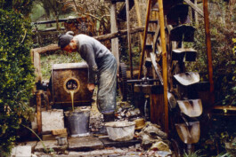  Dällikon is Future DiF