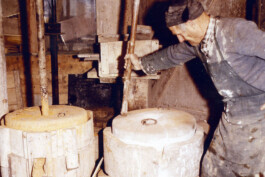  Dällikon is Future DiF