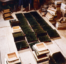  Dällikon is Future DiF