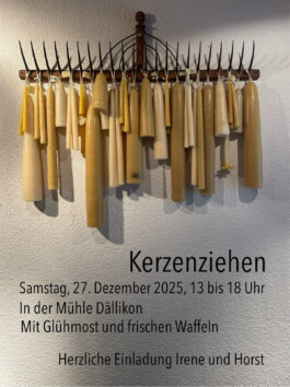  Dällikon is Future DiF